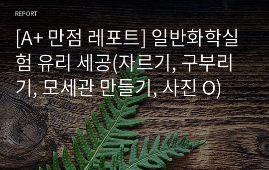 [A+ 만점 레포트] 일반화학실험 유리 세공(자르기, 구부리기, 모세관 만들기, 사진 O)