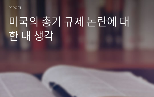 미국의 총기 규제 논란에 대한 내 생각