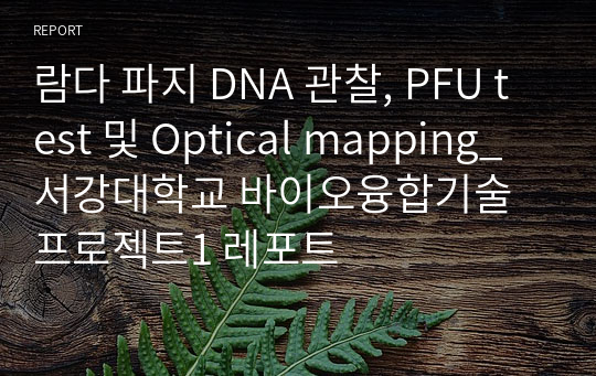 람다 파지 DNA 관찰, PFU test 및 Optical mapping_서강대학교 바이오융합기술프로젝트1 레포트