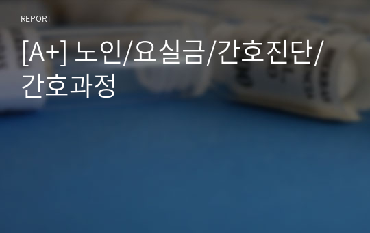 [A+] 노인/요실금/간호진단/간호과정