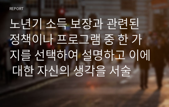 노년기 소득 보장과 관련된 정책이나 프로그램 중 한 가지를 선택하여 설명하고 이에 대한 자신의 생각을 서술