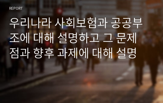 우리나라 사회보험과 공공부조에 대해 설명하고 그 문제점과 향후 과제에 대해 설명