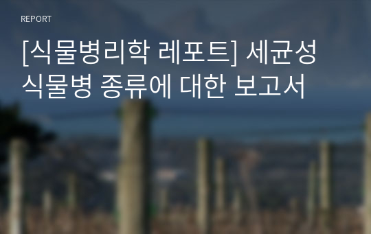 [식물병리학 레포트] 세균성 식물병 종류에 대한 보고서