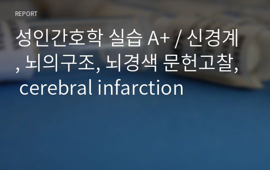 성인간호학 실습 A+ / 신경계, 뇌의구조, 뇌경색 문헌고찰, cerebral infarction