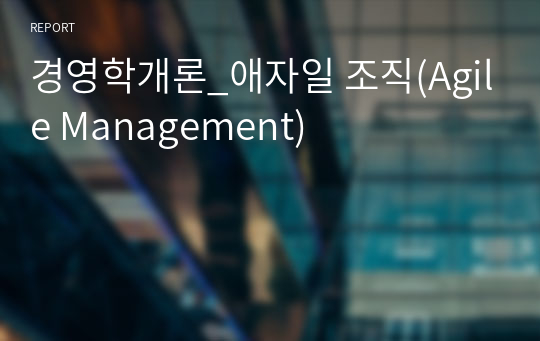 경영학개론_애자일 조직(Agile Management)