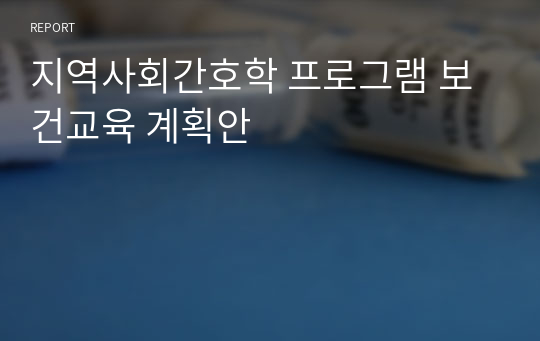 지역사회간호학 프로그램 보건교육 계획안