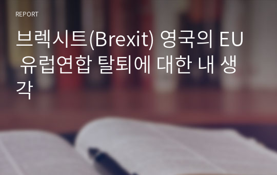 브렉시트(Brexit) 영국의 EU 유럽연합 탈퇴에 대한 내 생각