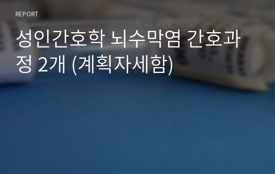 성인간호학 뇌수막염 간호과정 2개 (계획자세함)