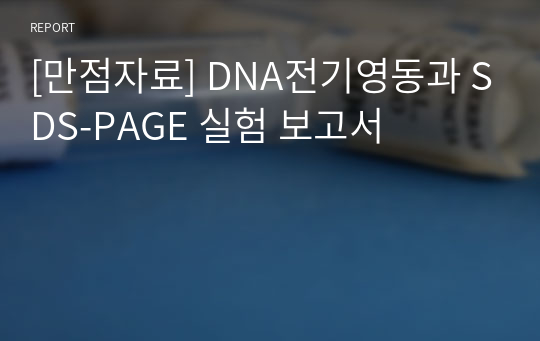 [만점자료] DNA전기영동과 SDS-PAGE 실험 보고서