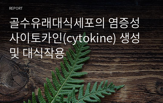 골수유래대식세포의 염증성 사이토카인(cytokine) 생성 및 대식작용