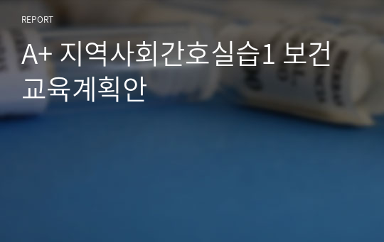 A+ 지역사회간호실습1 보건교육계획안