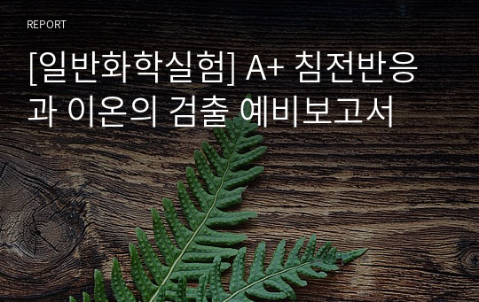 [일반화학실험] A+ 침전반응과 이온의 검출 예비보고서