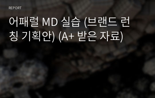 어패럴 MD 실습 (브랜드 런칭 기획안) (A+ 받은 자료)