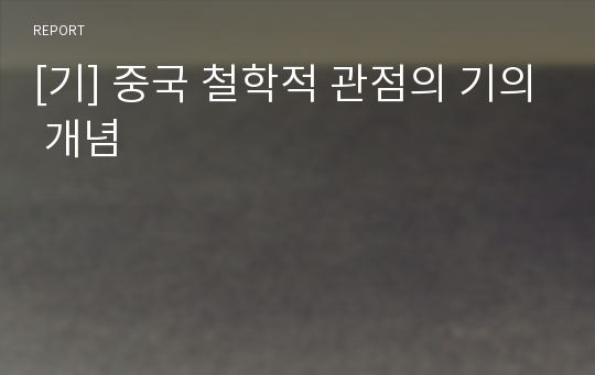 [기] 중국 철학적 관점의 기의 개념