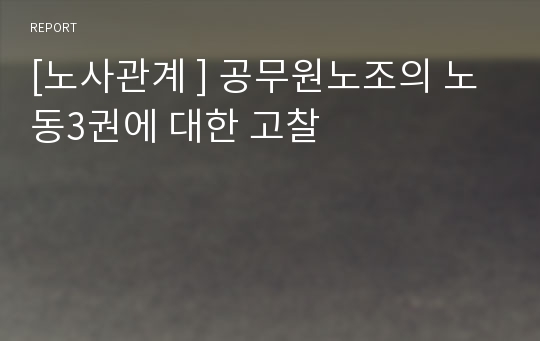 [노사관계 ] 공무원노조의 노동3권에 대한 고찰