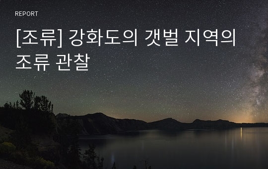 [조류] 강화도의 갯벌 지역의 조류 관찰