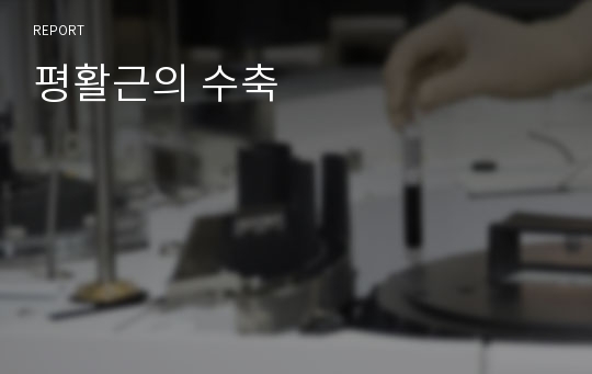 평활근의 수축