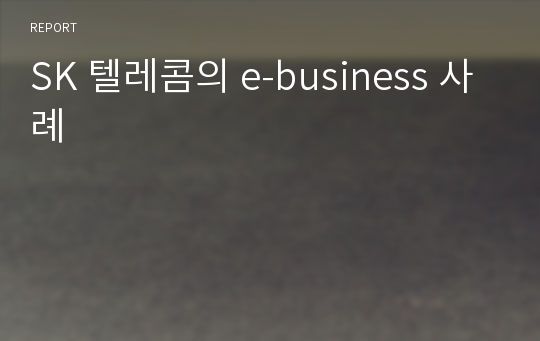 SK 텔레콤의 e-business 사례