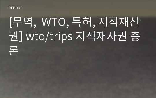 [무역,  WTO, 특허, 지적재산권] wto/trips 지적재사권 총론