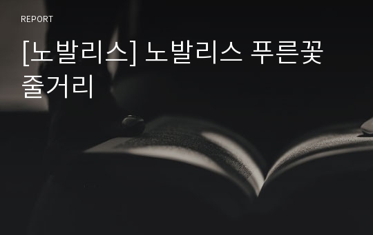 [최고의 독후감] 노발리스 푸른꽃 줄거리