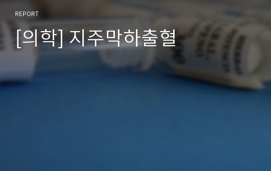 [의학] 지주막하출혈