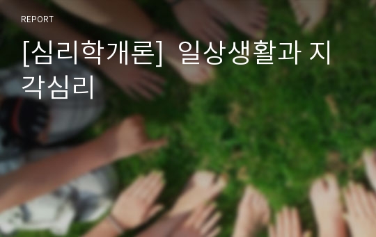 [심리학개론]  일상생활과 지각심리