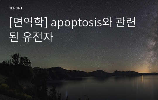 [면역학] apoptosis와 관련된 유전자