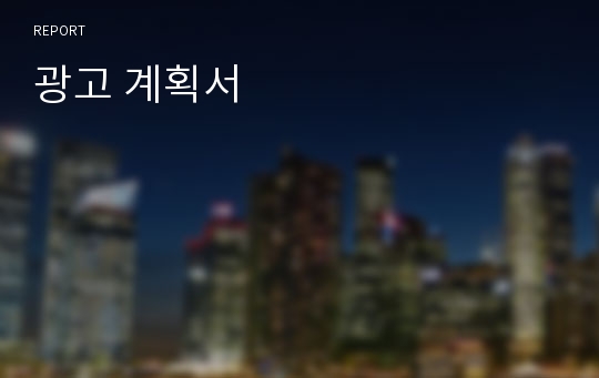 광고 계획서