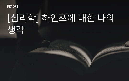 [심리학] 하인쯔에 대한 나의 생각