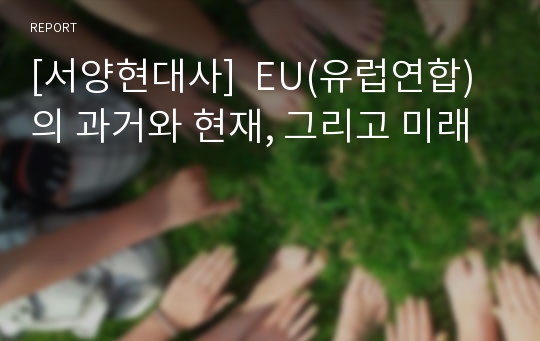 [서양현대사]  EU(유럽연합)의 과거와 현재, 그리고 미래