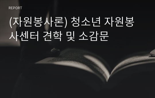 (자원봉사론) 청소년 자원봉사센터 견학 및 소감문