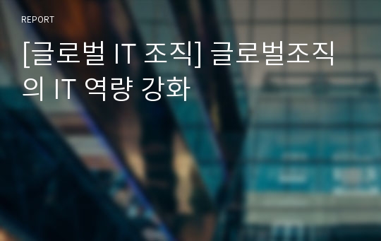 [글로벌 IT 조직] 글로벌조직의 IT 역량 강화