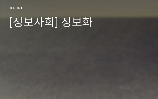 [정보사회] 정보화