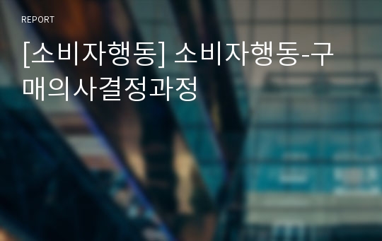 [소비자행동] 소비자행동-구매의사결정과정