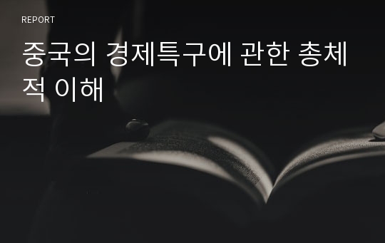 중국의 경제특구에 관한 총체적 이해