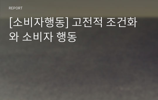 [소비자행동] 고전적 조건화와 소비자 행동