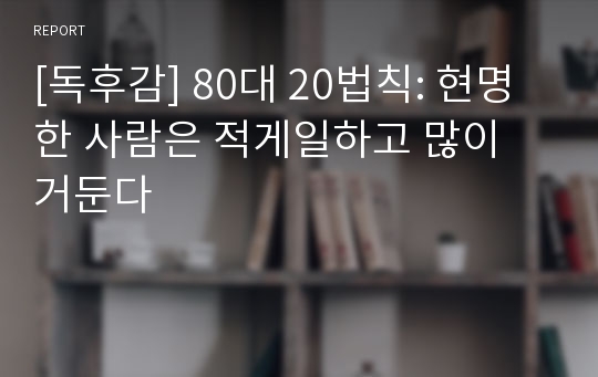 [독후감] 80대 20법칙: 현명한 사람은 적게일하고 많이 거둔다