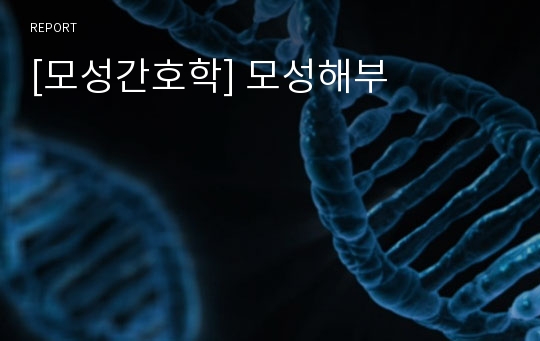 [모성간호학] 모성해부