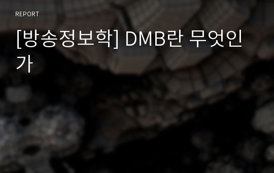 [방송정보학] DMB란 무엇인가