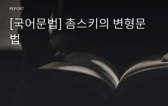 [국어문법] 촘스키의 변형문법