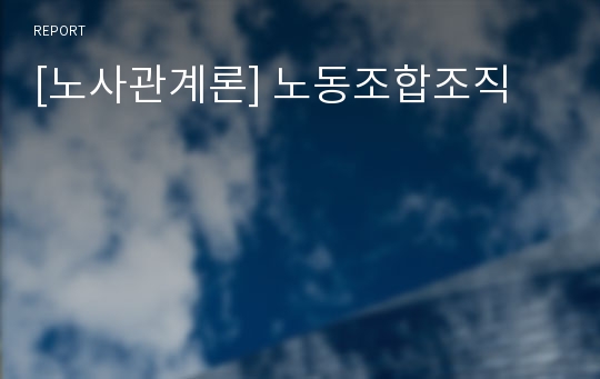 [노사관계론] 노동조합조직