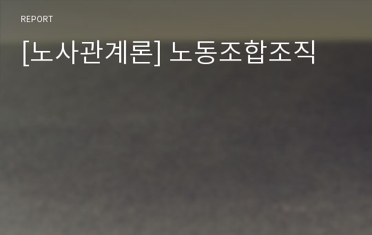 [노사관계론] 노동조합조직