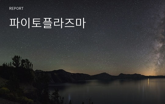 파이토플라즈마