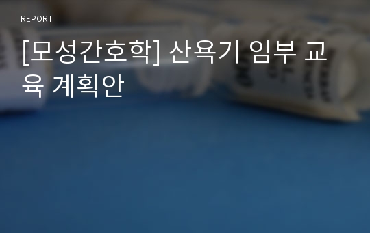 [모성간호학] 산욕기 임부 교육 계획안