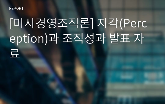 [미시경영조직론] 지각(Perception)과 조직성과 발표 자료