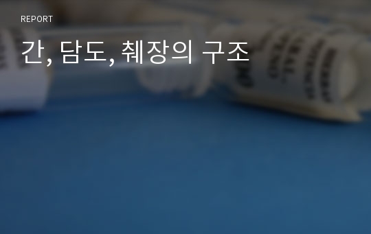 간, 담도, 췌장의 구조