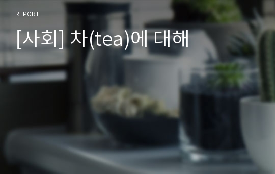 [사회] 차(tea)에 대해