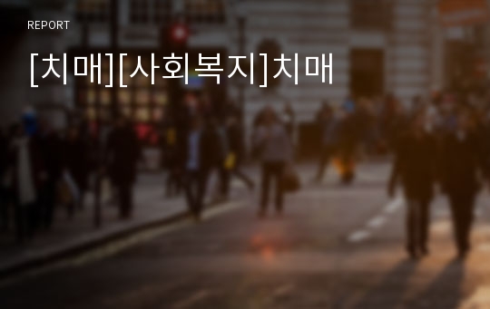 [치매][사회복지]치매