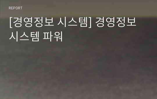 [경영정보 시스템] 경영정보시스템 파워