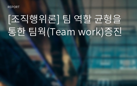 [조직행위론] 팀 역할 균형을 통한 팀웍(Team work)증진